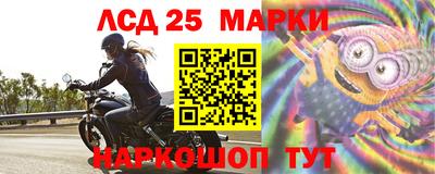 прущие грибы Краснознаменск