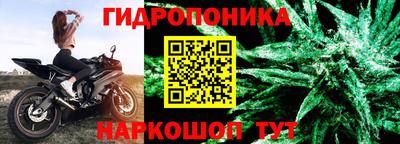 прущие грибы Краснознаменск
