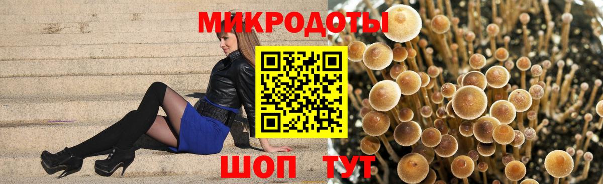 Галлюциногенные грибы мицелий  Вход с VPN  Торжок  Галлюциногенные грибы Cubensis 